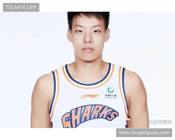 CBA历史十大巨星：传奇球员与他们的辉煌时刻